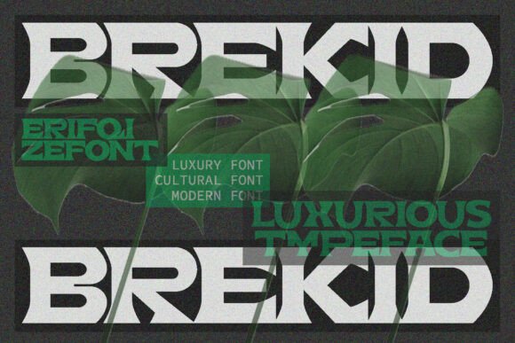 Brekid: A Serif With Soul for Bold Brand Identity