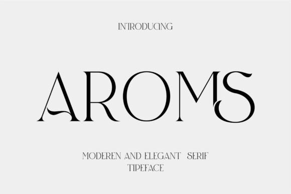 Elevate Your Shop with Aroms: A Modern Serif Font for Makers