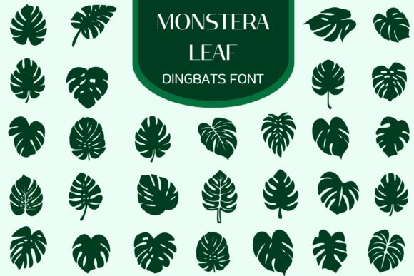 Monstera Leaf Font: A Designer's Guide to Tropical Web Typography