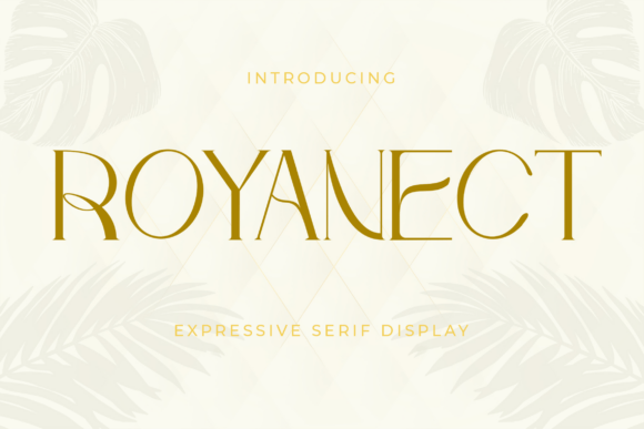Royanect Typeface: A Designer's Take on Modern Serif Branding